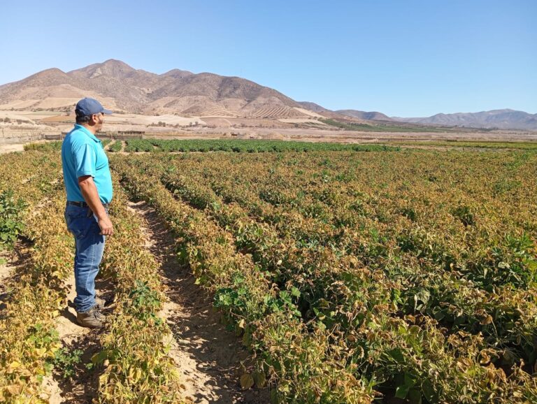 Subsecretaría de Agricultura 3