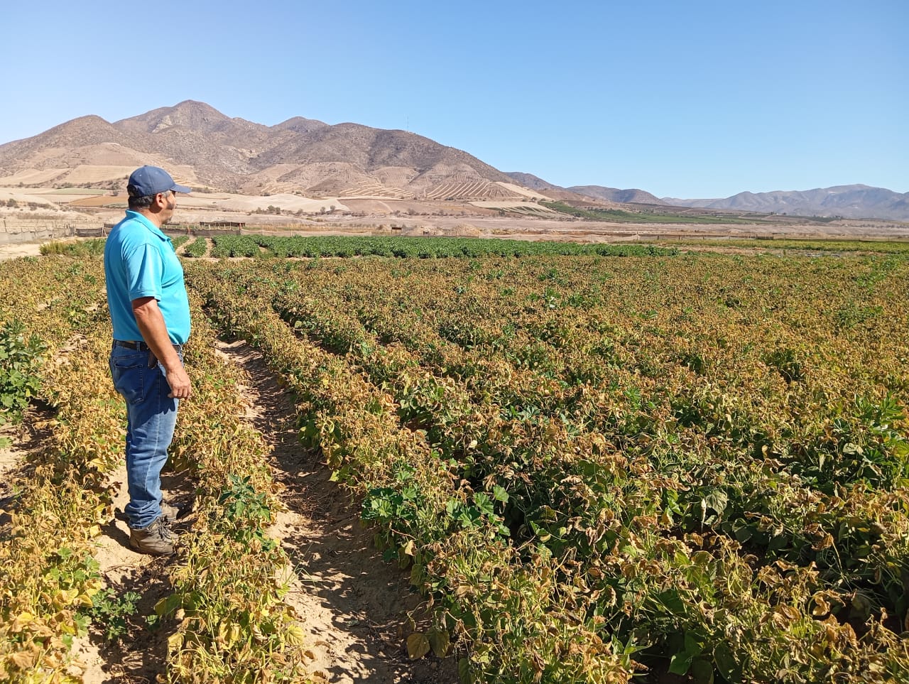 Subsecretaría de Agricultura 3